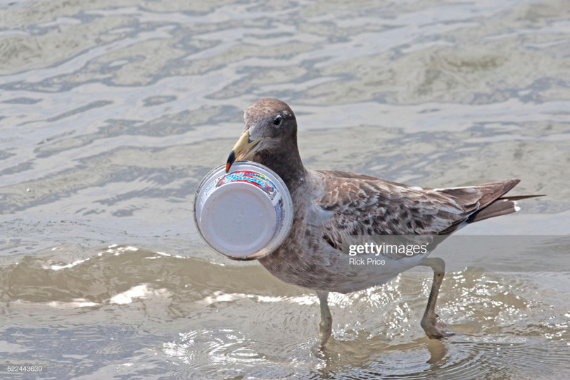 Ảnh: BrightSide Ảnh: BrightSide