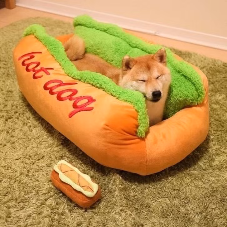 Ảnh: BrightSide Ảnh: BrightSide