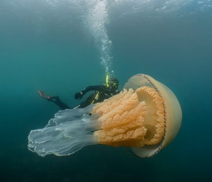 Ảnh: BrightSide Ảnh: BrightSide