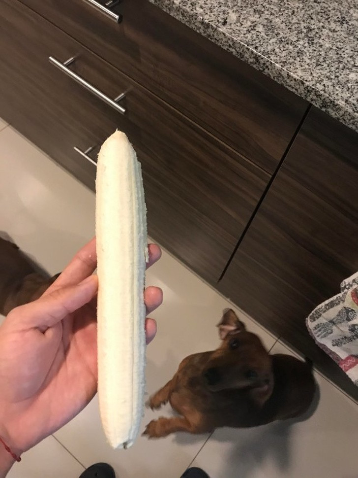 Ảnh: BrightSide Ảnh: BrightSide