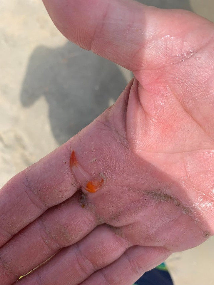 Ảnh: BrightSide Ảnh: BrightSide