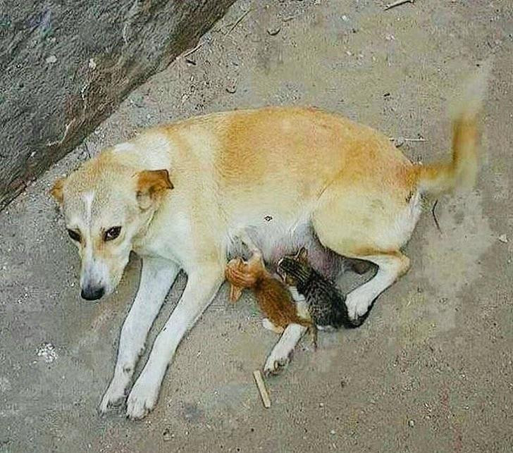 Ảnh: BrightSide Ảnh: BrightSide