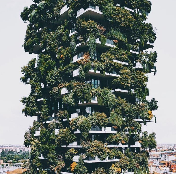 Ảnh: BrightSide Ảnh: BrightSide