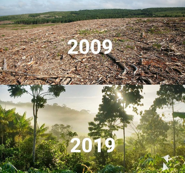 Ảnh: BrightSide Ảnh: BrightSide