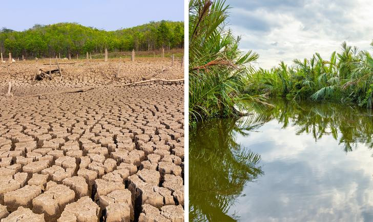 Ảnh: BrightSide Ảnh: BrightSide