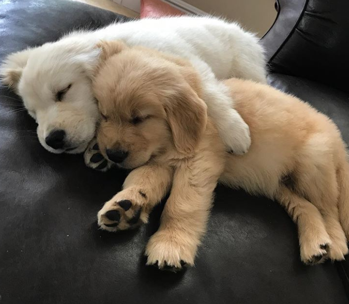 Ảnh: BrightSide Ảnh: BrightSide