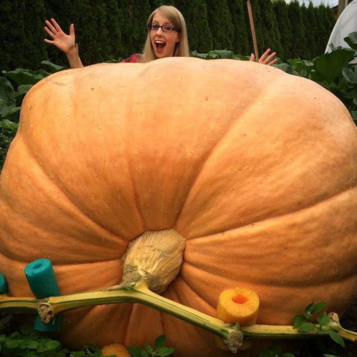 Ảnh: BrightSide Ảnh: BrightSide