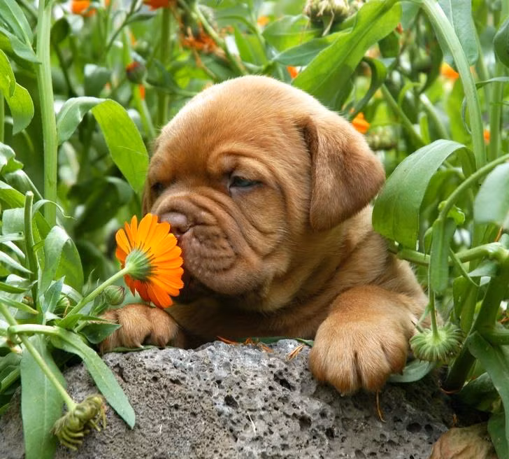 Ảnh: BrightSide Ảnh: BrightSide