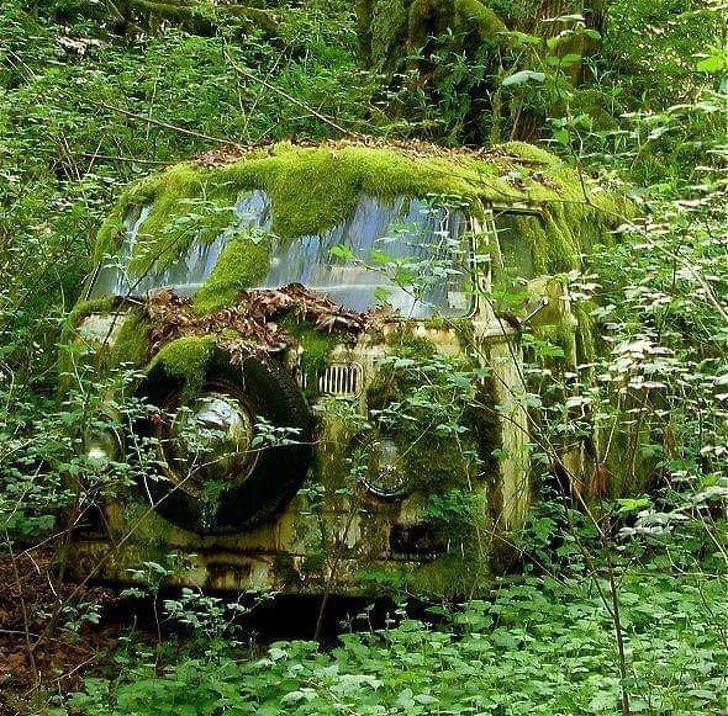 Ảnh: BrightSide Ảnh: BrightSide