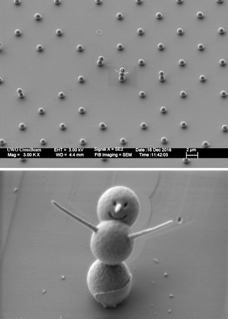 Ảnh: BrightSide Ảnh: BrightSide