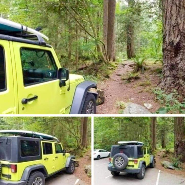 Ảnh: BrightSide Ảnh: BrightSide