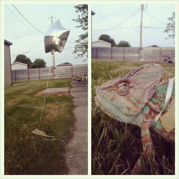 Ảnh: BrightSide Ảnh: BrightSide