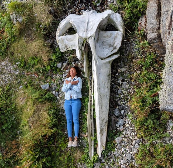 Ảnh: BrightSide Ảnh: BrightSide