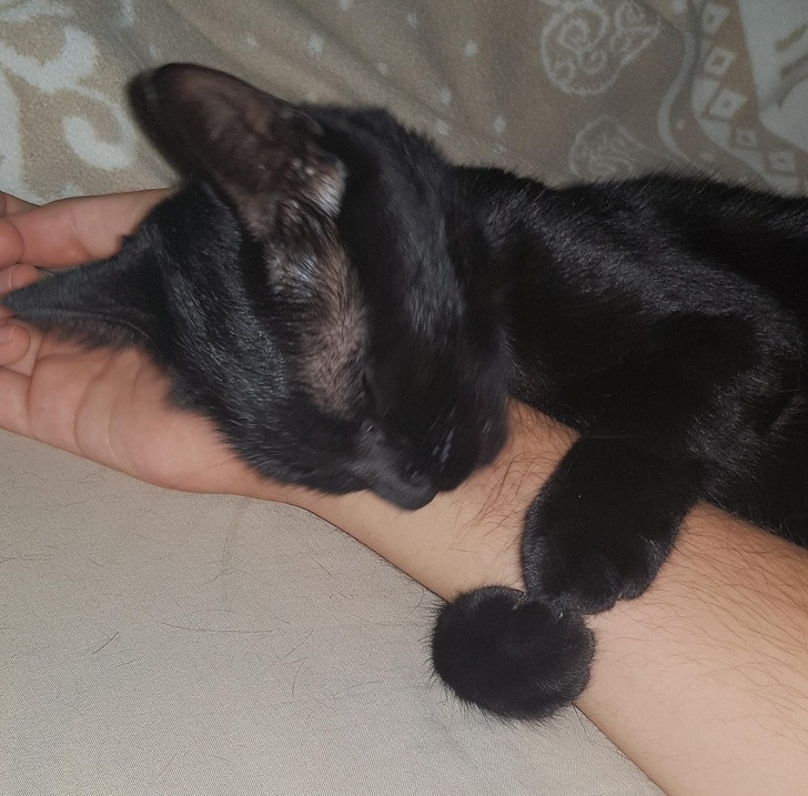 Ảnh: BrightSide Ảnh: BrightSide