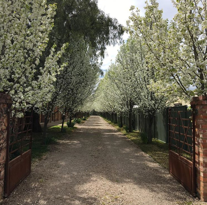 Ảnh: BrightSide Ảnh: BrightSide