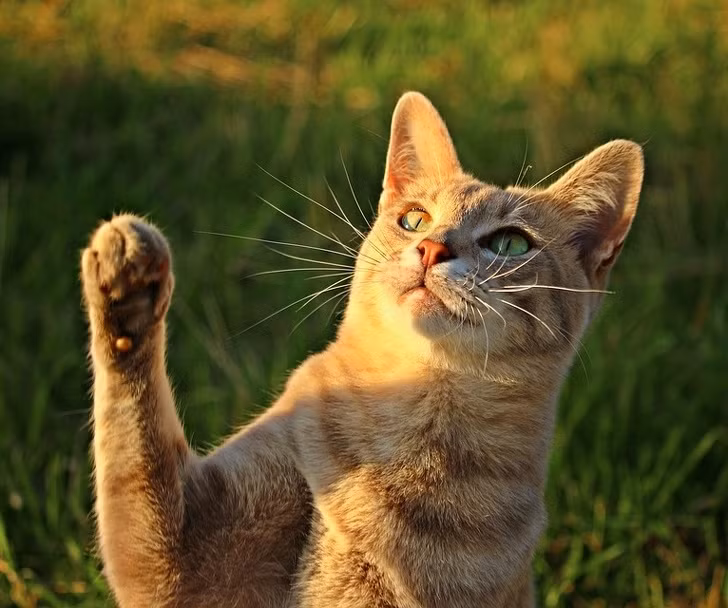 Ảnh: BrightSide Ảnh: BrightSide