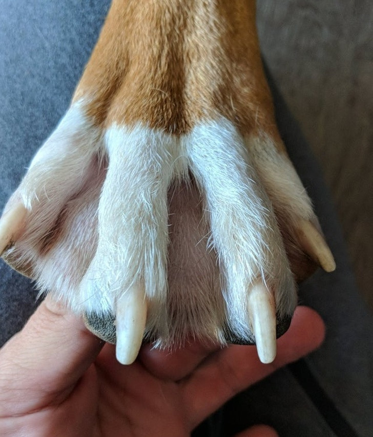 Ảnh: BrightSide Ảnh: BrightSide