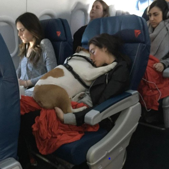 Ảnh: BrightSide Ảnh: BrightSide