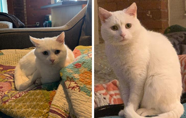 Ảnh: BrightSide Ảnh: BrightSide