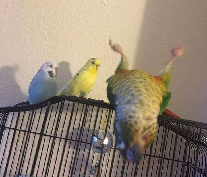 Ảnh: BrightSide Ảnh: BrightSide