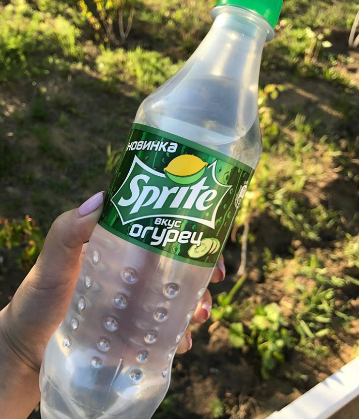 Ảnh: BrightSide Ảnh: BrightSide