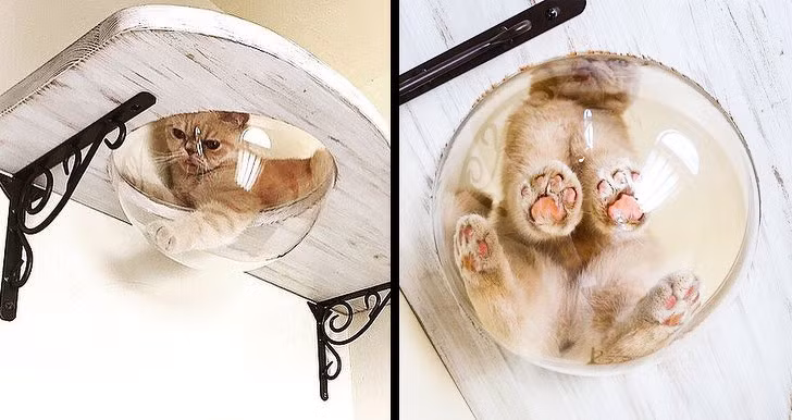 Ảnh: BrightSide Ảnh: BrightSide