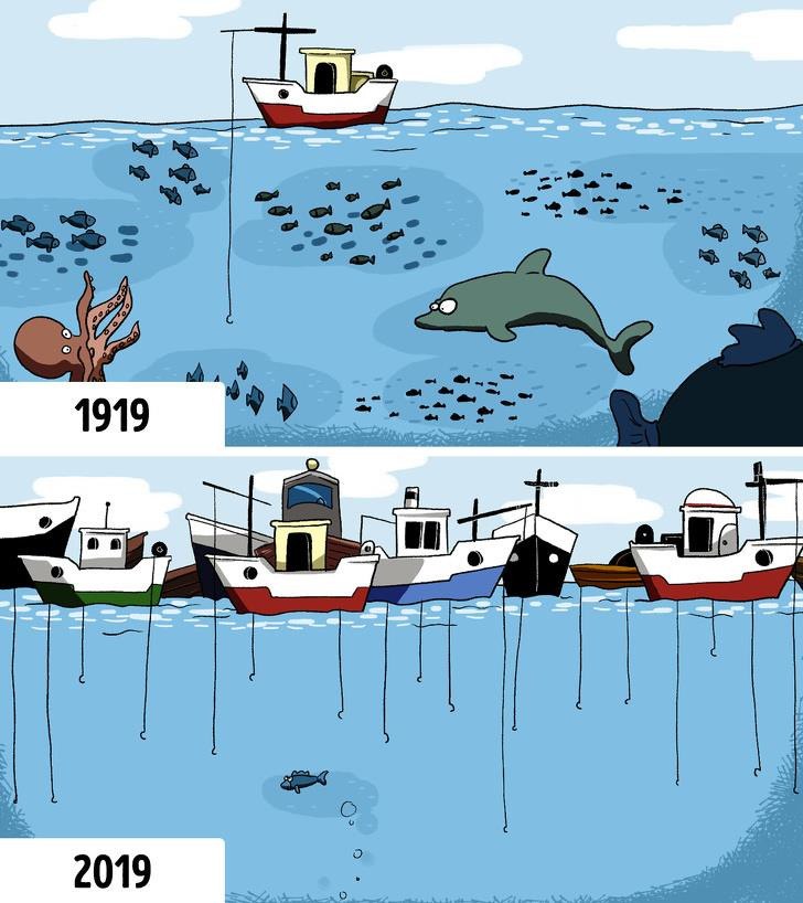 Ảnh: BrightSide Ảnh: BrightSide