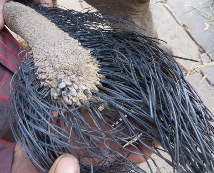 Ảnh: BrightSide Ảnh: BrightSide