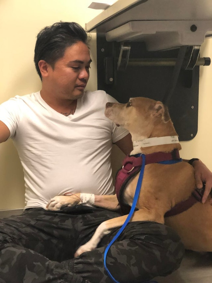 Ảnh: BrightSide Ảnh: BrightSide