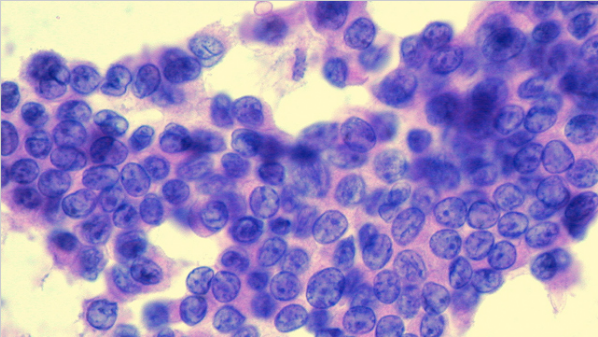 Ảnh: List25 Ảnh: List25