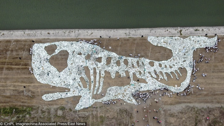 Ảnh: BrightSide Ảnh: BrightSide