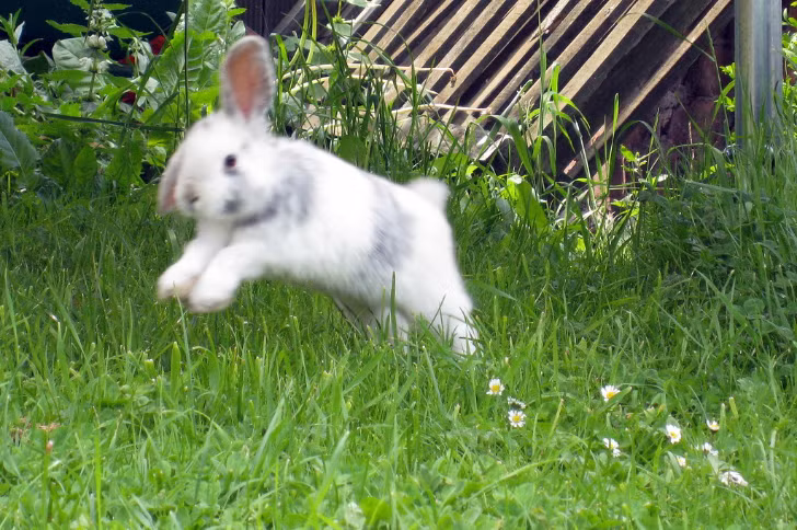 Ảnh: BrightSide Ảnh: BrightSide