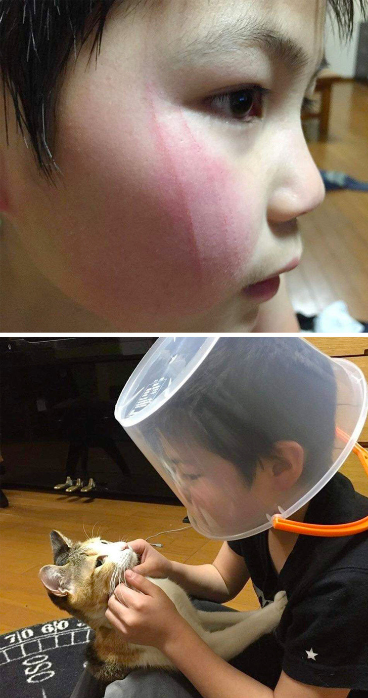 Ảnh: BrightSide Ảnh: BrightSide