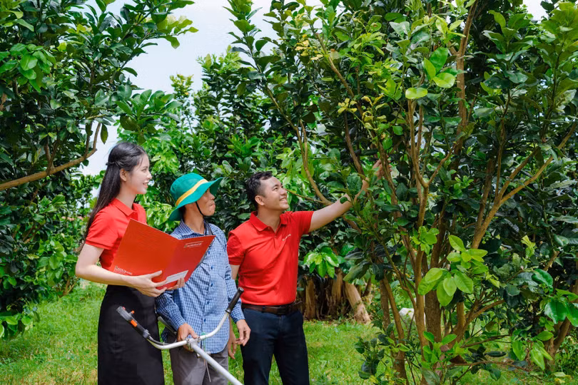 Ảnh 1 - thumbnail.jpg