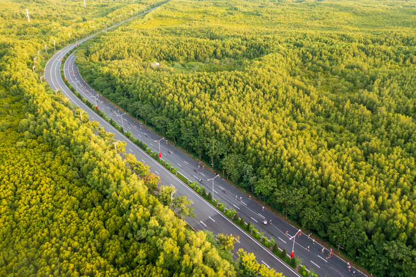 Hình 2_Cung đường marathon uốn lượn giữa rừng ngập mặn xanh mát bất tận.jpg