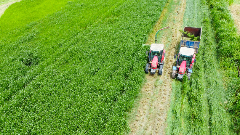 Farm tour VBCSD - 11b.jpg