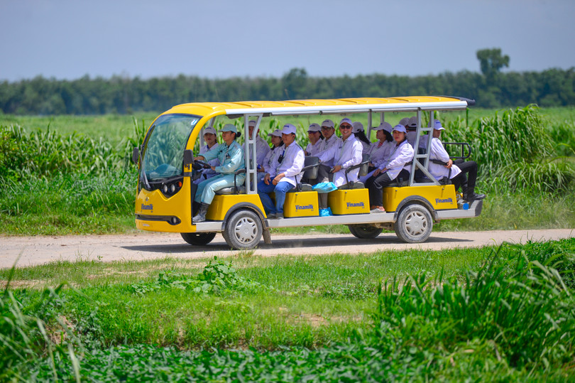 Farm tour VBCSD - 02.JPG