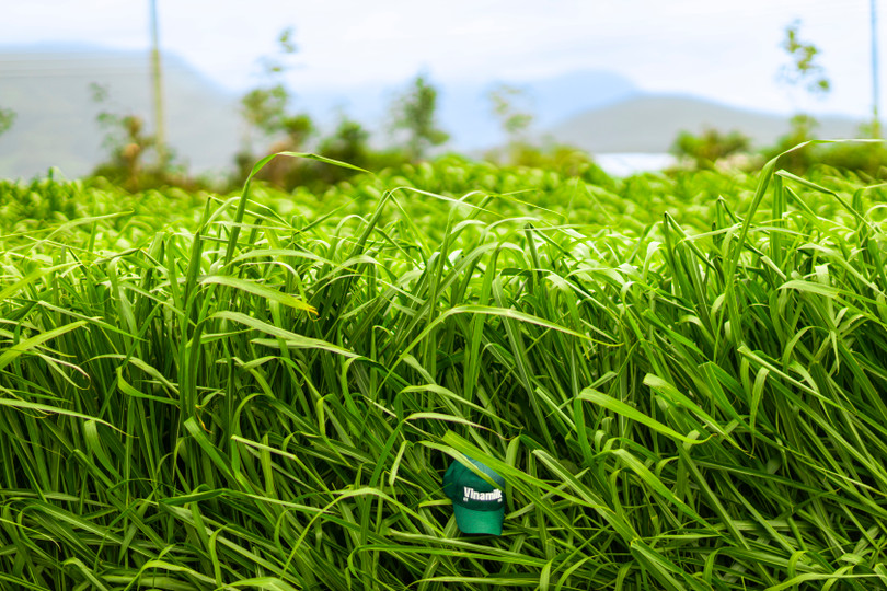 Farm tour VBCSD - 07a.jpg