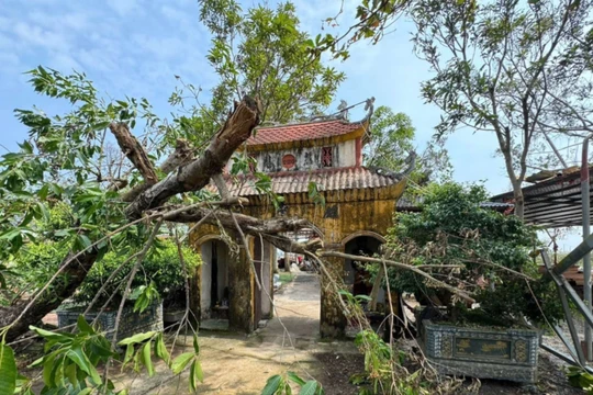 Kiểm tra chùa Cẩm La sau phản ánh nuôi dưỡng trẻ em trái quy định