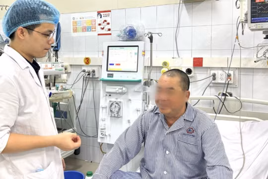 2 người nhập viện nghi ngộ độc cá nóc