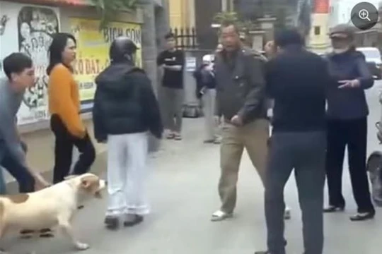 Chó bị xua vào cuộc ẩu đả giữa 2 người đàn ông, quay ra cắn phụ nữ