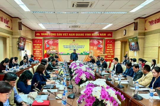 Kích hoạt “cơ chế chuyển tiếp” cứu điểm nghẽn nhập khẩu thực phẩm