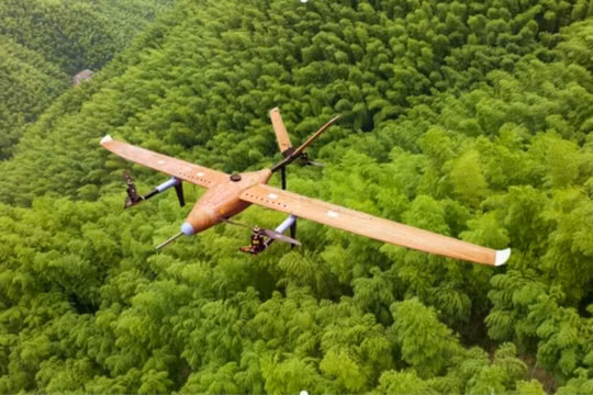 Các nhà nghiên cứu cho biế, chuyến bay thử nghiệm đầu tiên của máy bay không người lái làm từ tre đã diễn ra vào tháng 2 vừa qua. Ảnh: Xinhua.