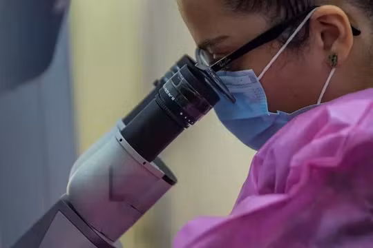 Một nhà khoa học sử dụng kính hiển vi trong phòng thí nghiệm của Viện Gorgas ở thành phố Panama, Panama, vào ngày 25/5/2020. Ảnh: AFP.