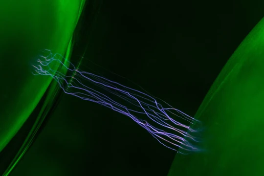 Ảnh minh họa: PM.