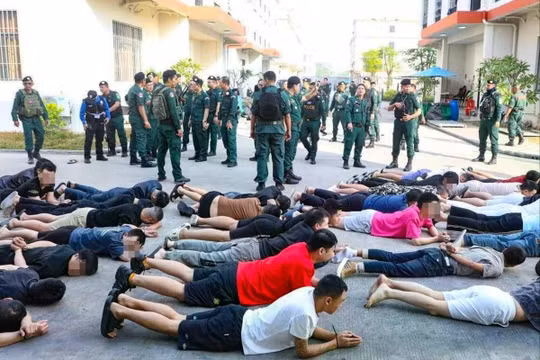 Các nghi phạm bị bắt giữ xếp hàng trên mặt đất sau một cuộc đột kích quy mô lớn vào một đường dây lừa đảo ở thành phố Bavet, phía đông nam Campuchia. Ảnh: SCMP.
