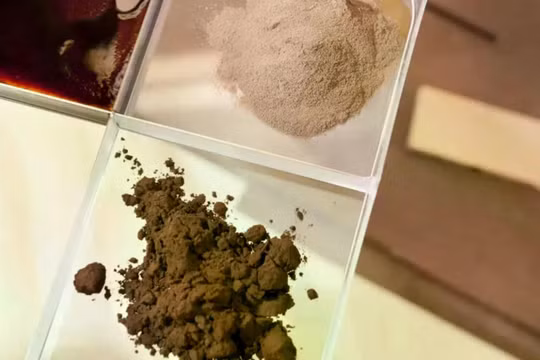 Một mảnh compleximer có thể dễ dàng được uốn cong. Ảnh: WUR.