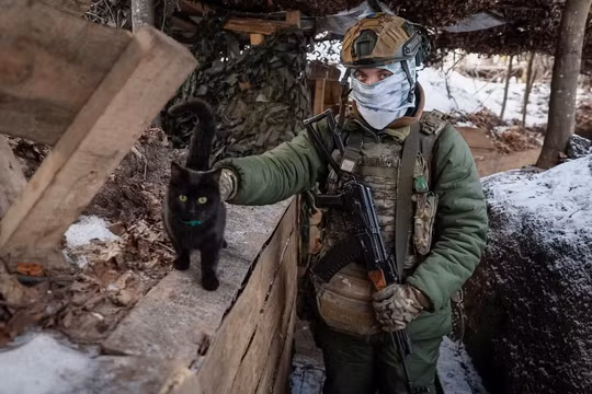 Một binh sĩ Ukraine vuốt ve một con mèo tại vị trí của mình trong chiến hào ở tiền tuyến tại vùng Sumy, Ukraine. Ảnh: Reuters.