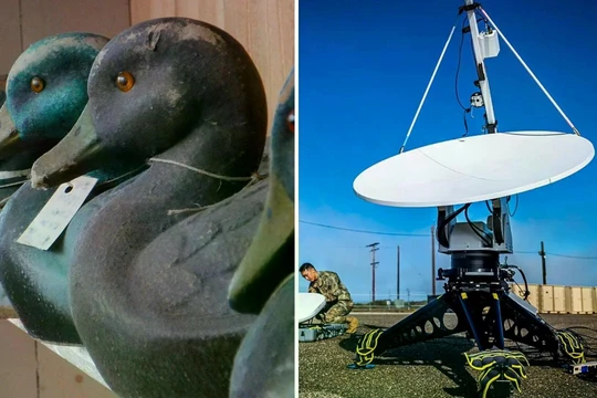 Mồi nhử hình con vịt (trái) và ăng-ten thuộc hệ thống HPM (phải). Ảnh: PM.