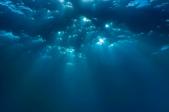 Tên lửa phóng từ tàu ngầm thường được bắn từ độ sâu khoảng 30 m. Ảnh: Shutterstock.